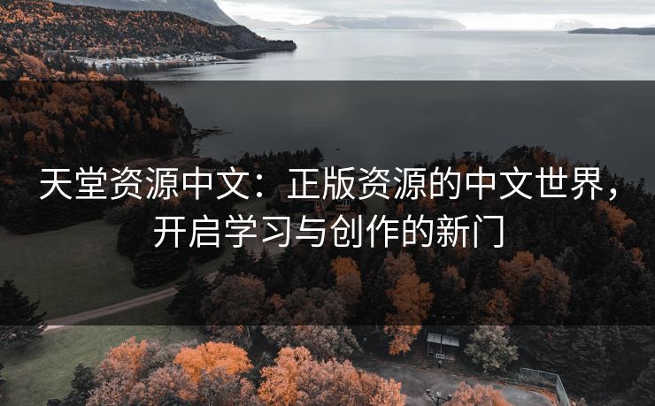 天堂资源中文：正版资源的中文世界，开启学习与创作的新门